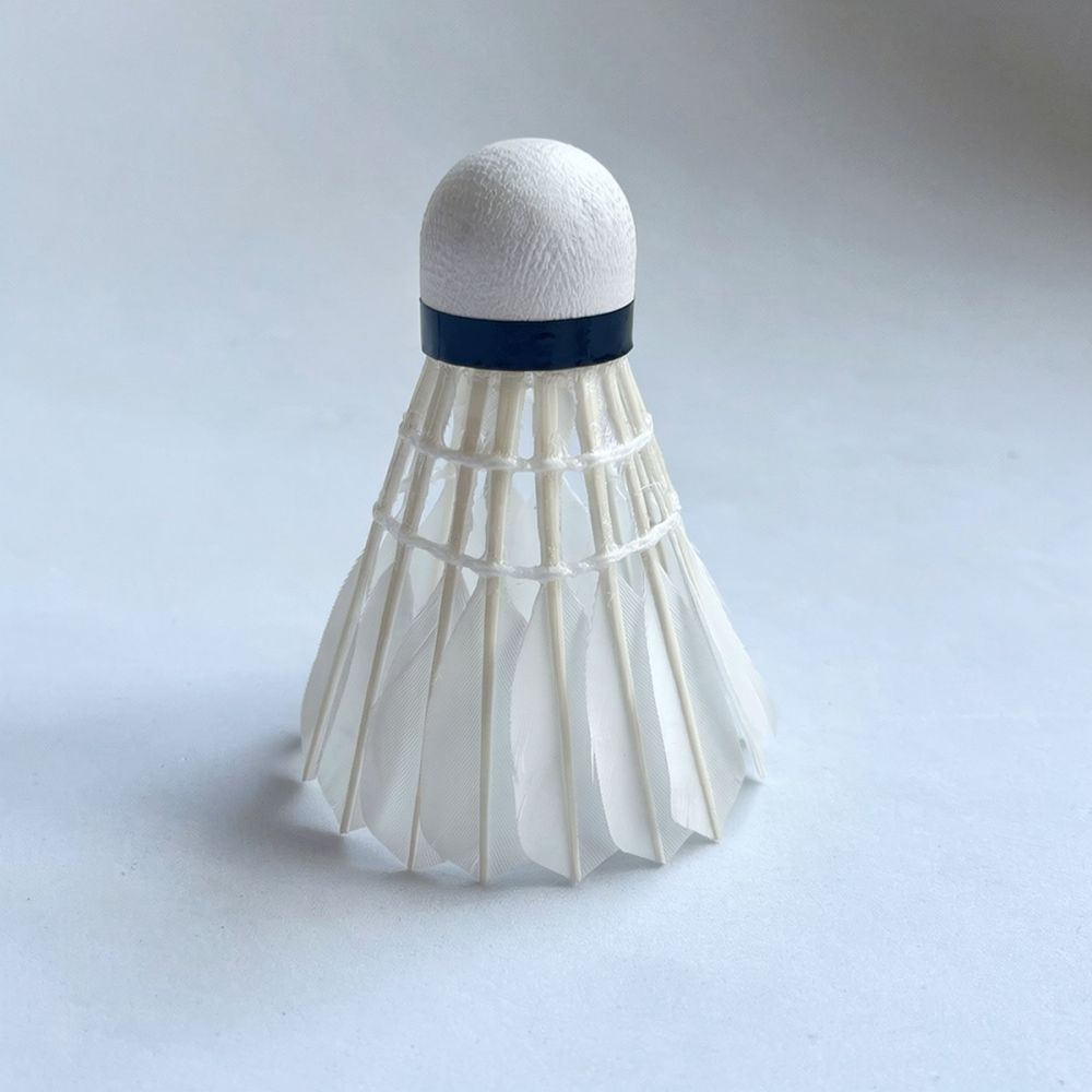 Profesyonel Kaz Tüyü Badminton - Feather Shuttlecock incelemesi ve fiyatı